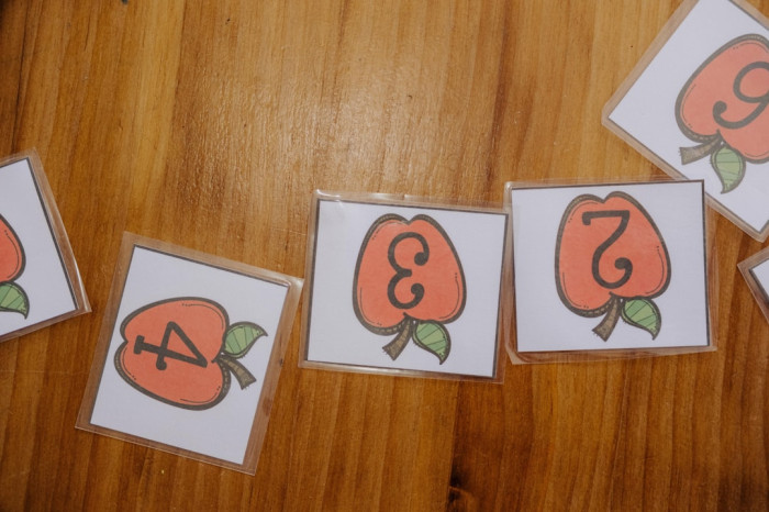 6. Sınıf İngilizce 1. Dönem 2. Yazılı Sınavı
