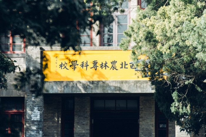 Banka Hesap Dökümü İngilizce Nasıl Alınır?