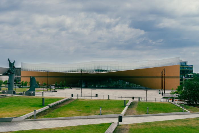 6. Sınıf İngilizce 1. Ünite: Life